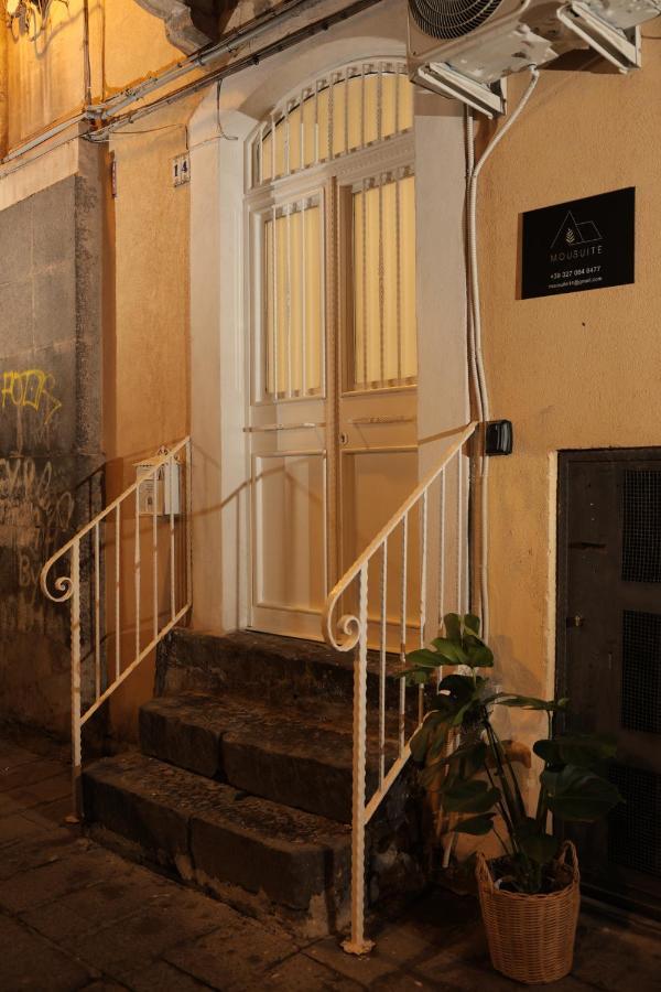 Mousuite Holiday home